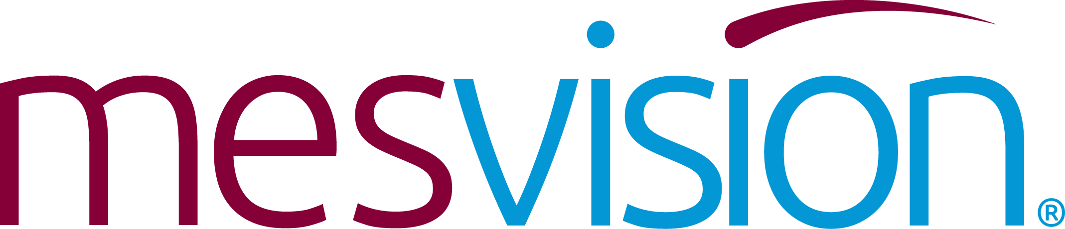 A Mesvision logo.